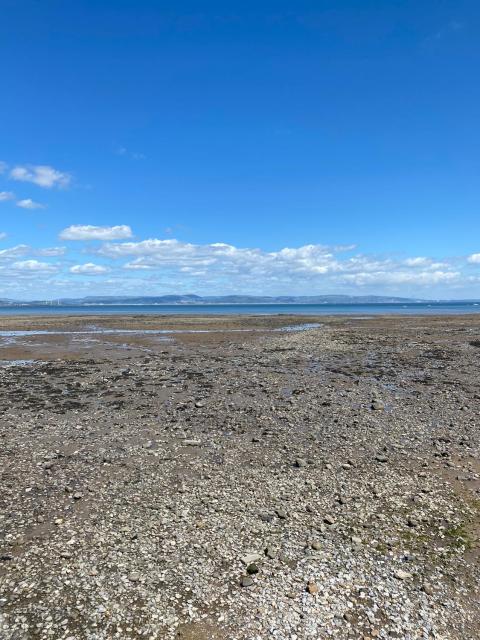 Sea-view flat near Mumbles.