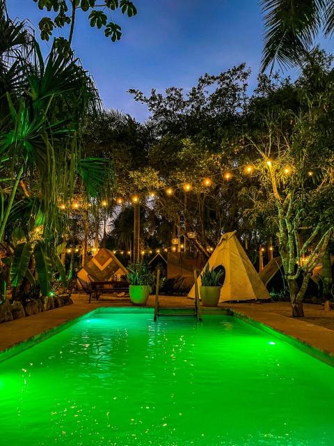 Glamping Bufo Alvarius Sanctuary Bacalar