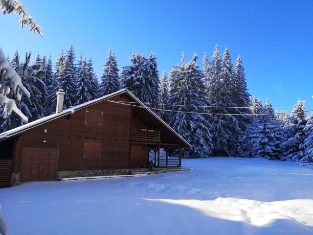 Casa de Vacanta Dintre Brazi