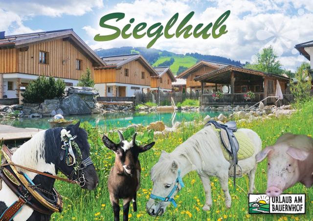 Sieglhub Chalets - Appartements - Hotel