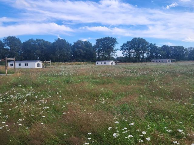 Hoeve Twente - De Bonte Specht