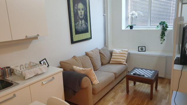 Cozy 1 bedroom apartment in Oslo centrum