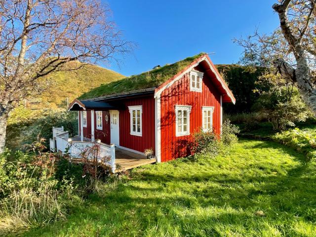 Cabin with charm in Lofoten