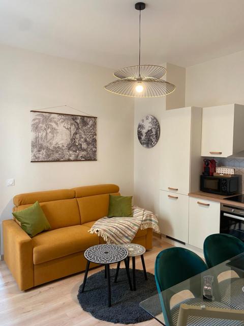 Magnifique appartement au centre ville avec parking privé et gratuit LE JARDIN DES PLANTES