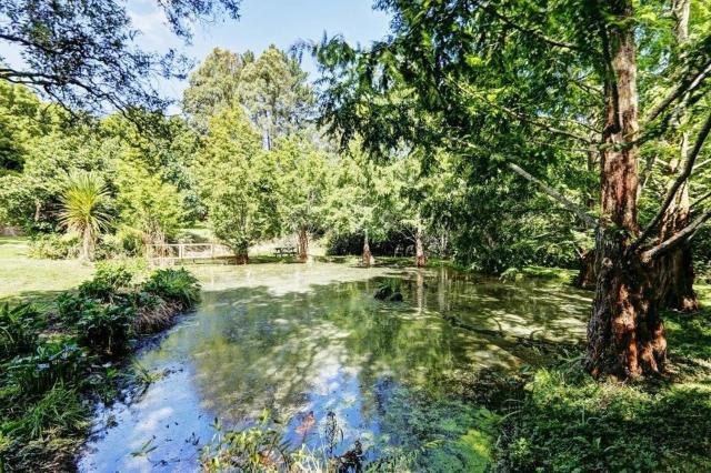 Peaceful cottage in beautiful landscaped native bush gully