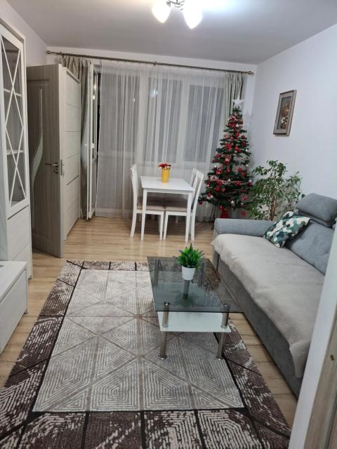 Apartament Ultra Central Marly Gura Humorului