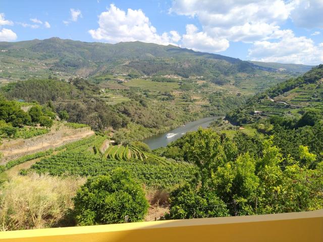 Casa Avós D'Ouro - Barqueiros, Mesão Frio, Douro