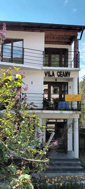 Pensiunea Vila Geany SRL