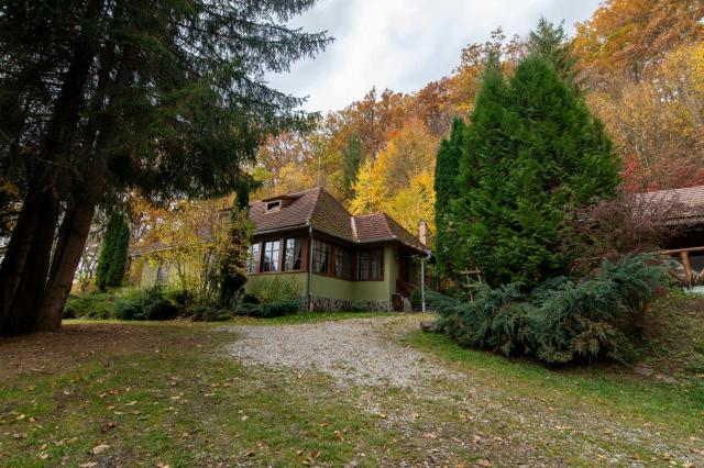 Esigman - log cabin in Transylvania