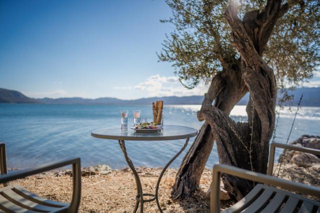 Beautiful Traditional Stone House in the private Sea Front Olive Grove of Elaionas Nikou Luxury Villas