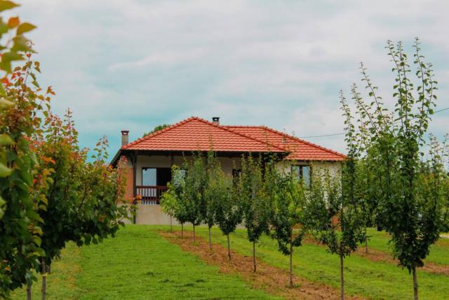 Villa Sladjana