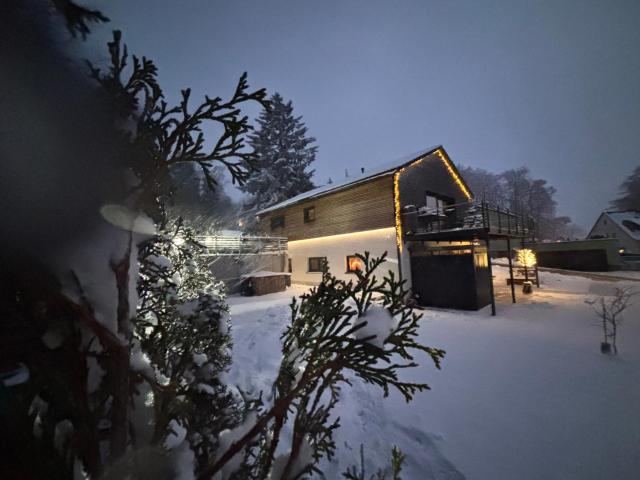 Ferienwohnung im Chalet Scheibenberg