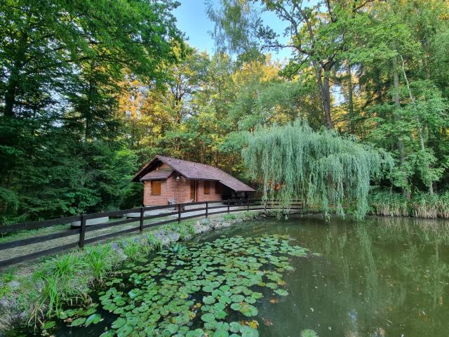 Cottage by the pond Pavel