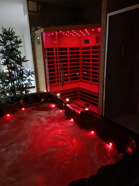 Spa appartement O temps suspendu Reims centre sauna et jacuzzi