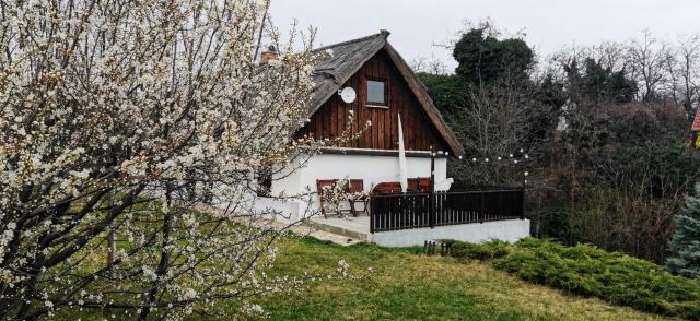 Hét Fenyő Vendégház / Seven Pines Holiday House