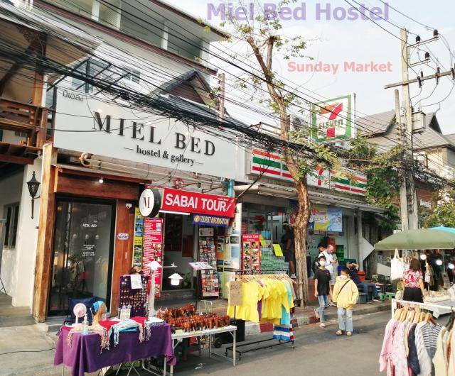 MIEL BED Hostel & Gallery