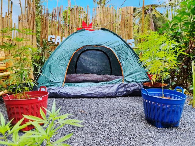 Ganja Gardens Camping