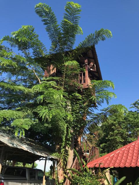 Mae Chan Treehouse with swimming pool