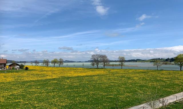 Ferienwohnung Seestadel