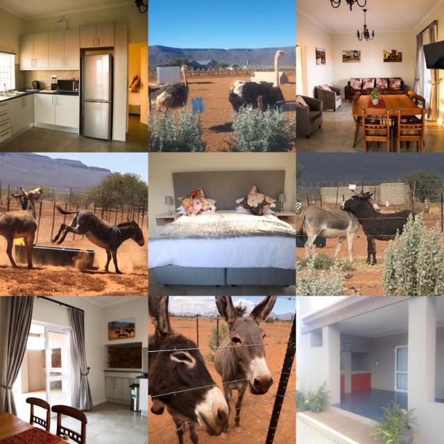 Donkieshoek Accommodation & Campsite, Calvinia