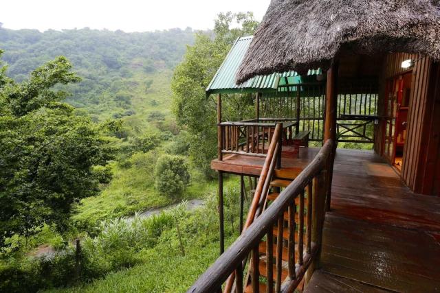 Treehouse River Lodge