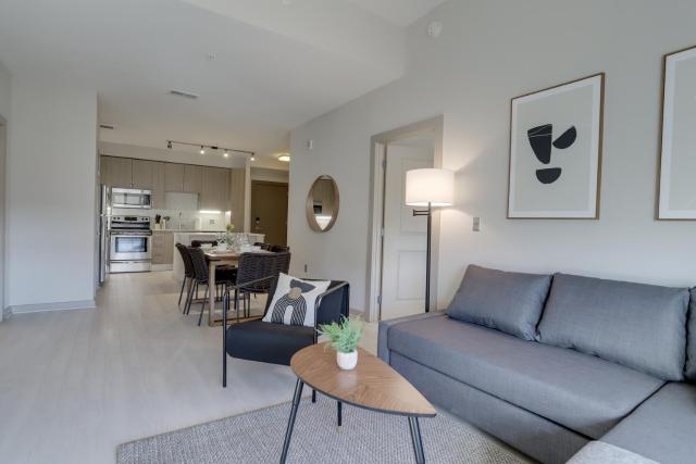 Fantastic Apartment at Crystal City