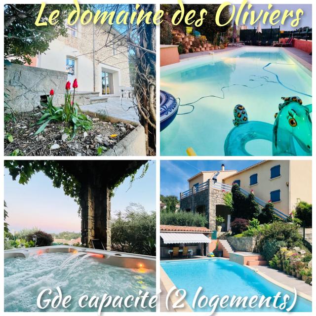 Le domaine des Oliviers ALES Piscine Jacuzzi Sauna