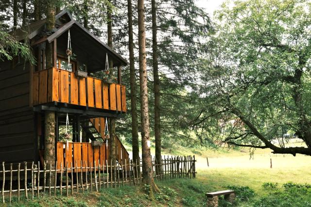 Treehouse KUPARI Nacionalni park Risnjak