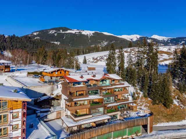 Kitzbüheler Alpenlodge Top A2 und A3