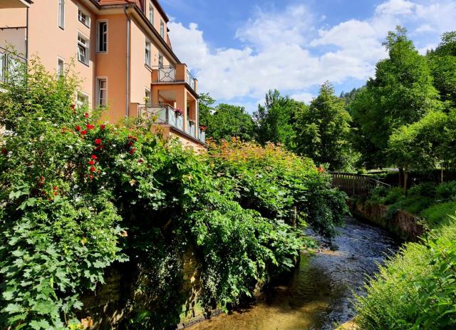 ArtHouse Am Kurpark Bad Schandau