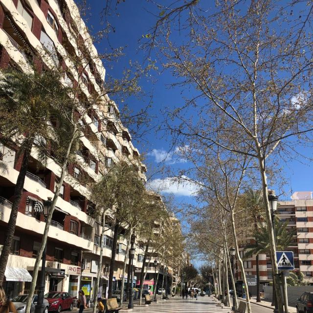 Habitaciones en GANDIA a 5 min del centro histórico