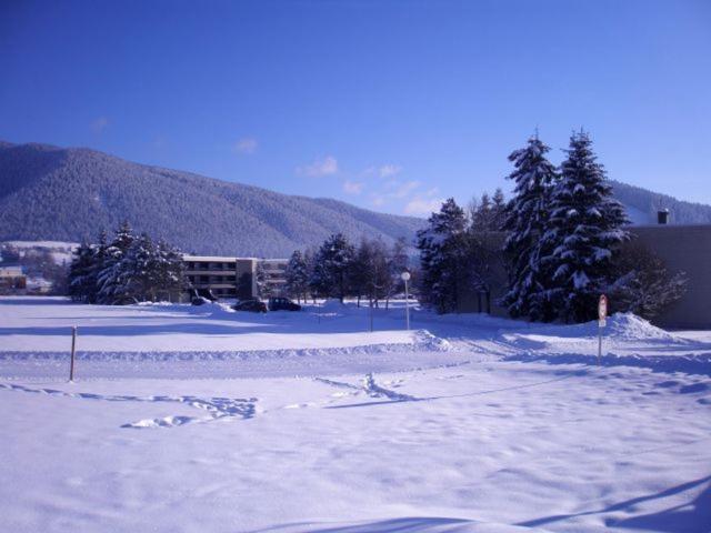 Studio rénové à Autrans, 4 pers, balcon, parking privé, proche centre et pistes ski - FR-1-737-28