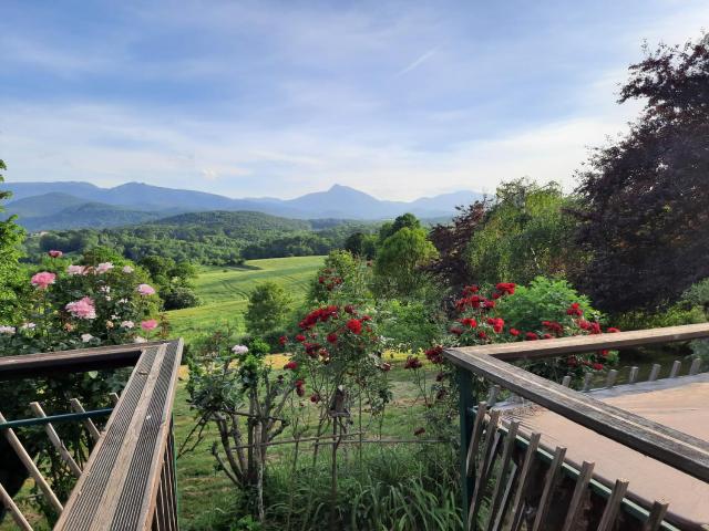 Le Petit Chalet du Hérisson-Panorama Unique sur les Pyrénées !!!