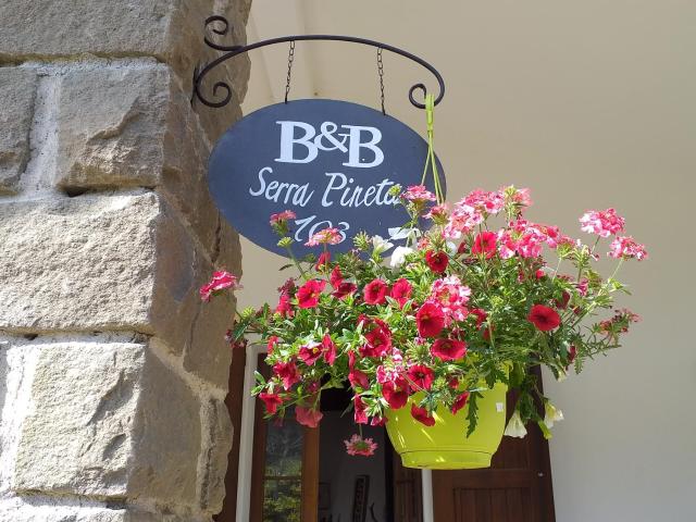 B&B Serra Pineta