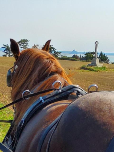 Chez Jollyjune, à moins d'une heure du Mont Saint Michel