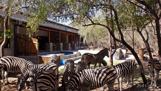 Dream of Africa Bush Lodge