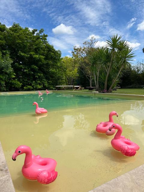 Le Patio, chambres d hôtes pour adultes en Camargue, possibilité de naturisme à la piscine,