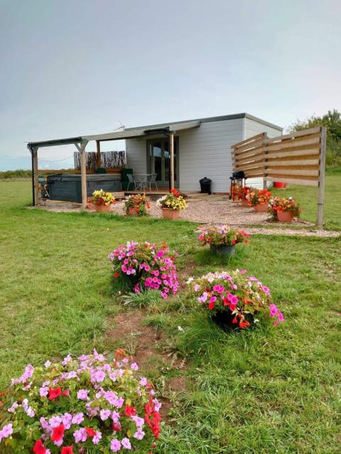 Beautiful Wooden tiny house, Glamping cabin with hot tub 3