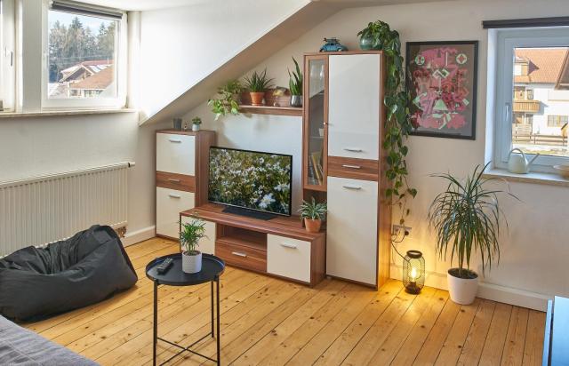 Green-Art-Living für 3 im Allgäu mit Queensize & WIFI