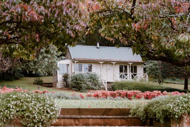 The Mountain View Cottage