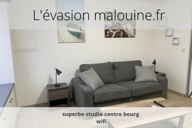 Studio 2 personnes en centre ville