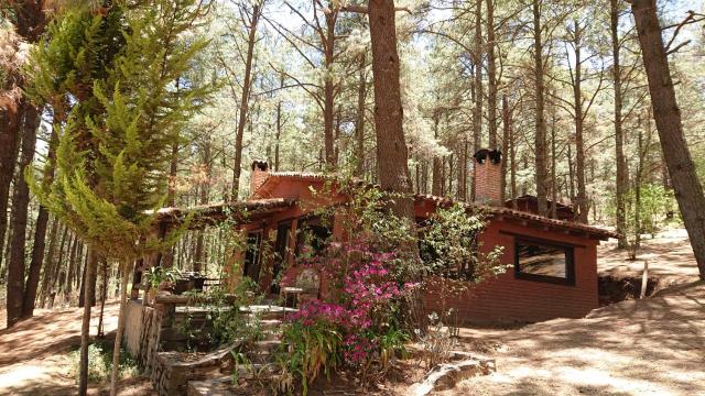 Cabañas tapalpa Sierra del Tecuan, Cabaña Tejón