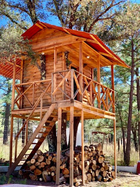 CASA DEL ARBOL en la Sierra de Durango