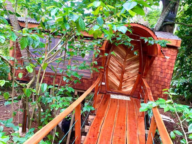 Tukulolo Treehouses