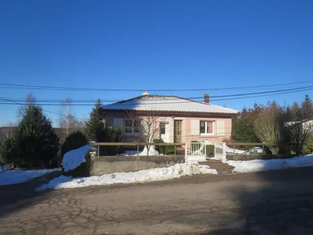 Pavillon au calme avec cheminée près de Gérardmer, Wi-Fi, terrasses et garage - FR-1-589-75