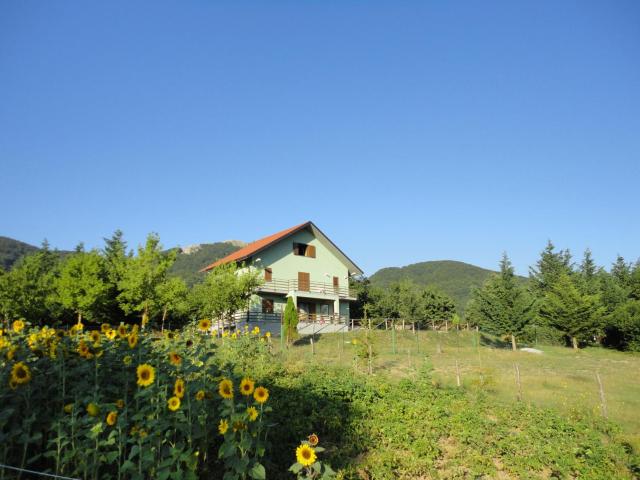 Green House