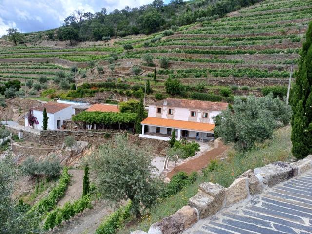 Country house Quinta da Salgueira