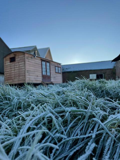 The Shepherds Retreat - Luxury Glamping