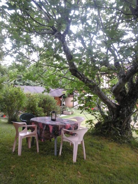 Gîte l'appel de la Forêt