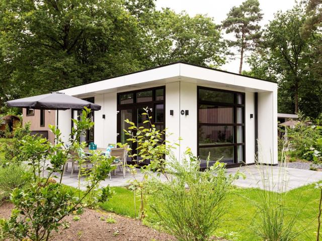 Modern chalet close to De Veluwe